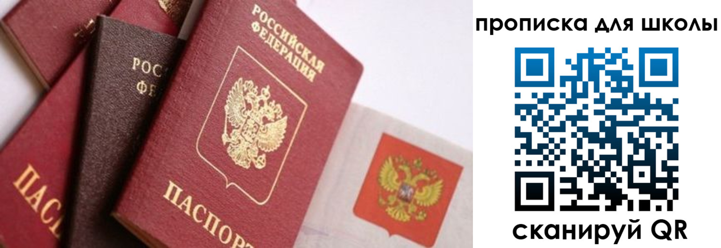 прописка поиск в Абинске
